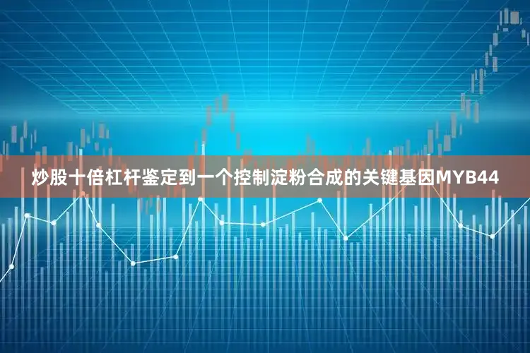 炒股十倍杠杆鉴定到一个控制淀粉合成的关键基因MYB44