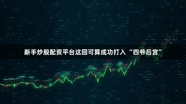 新手炒股配资平台这回可算成功打入 “四爷后宫”