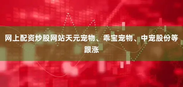 网上配资炒股网站天元宠物、乖宝宠物、中宠股份等跟涨