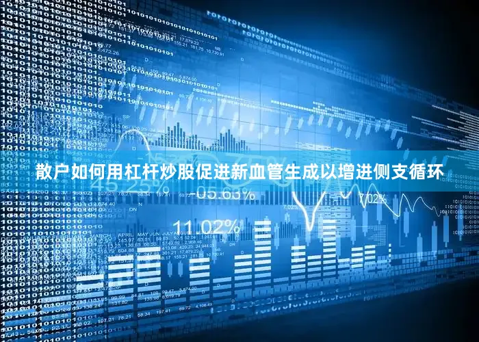 散户如何用杠杆炒股促进新血管生成以增进侧支循环