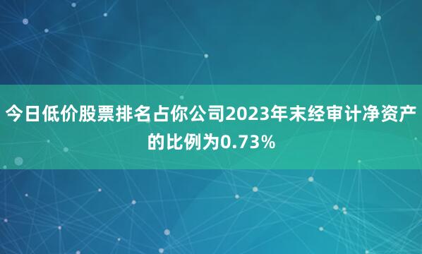 今日低价股票排名占你公司2023年末经审计净资产的比例为0.73%