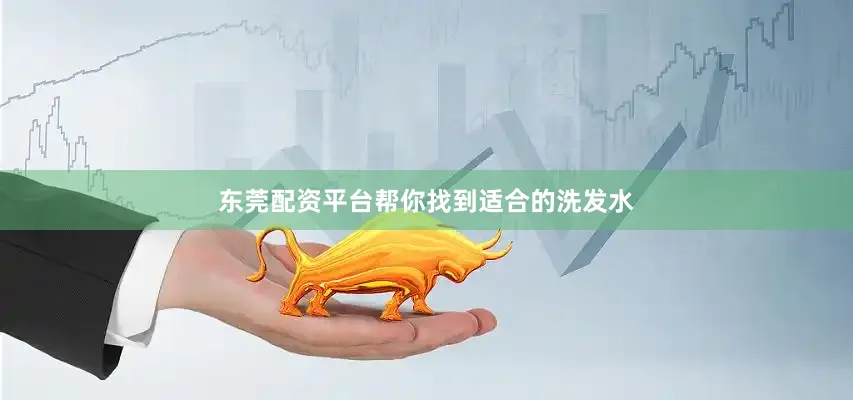 东莞配资平台帮你找到适合的洗发水